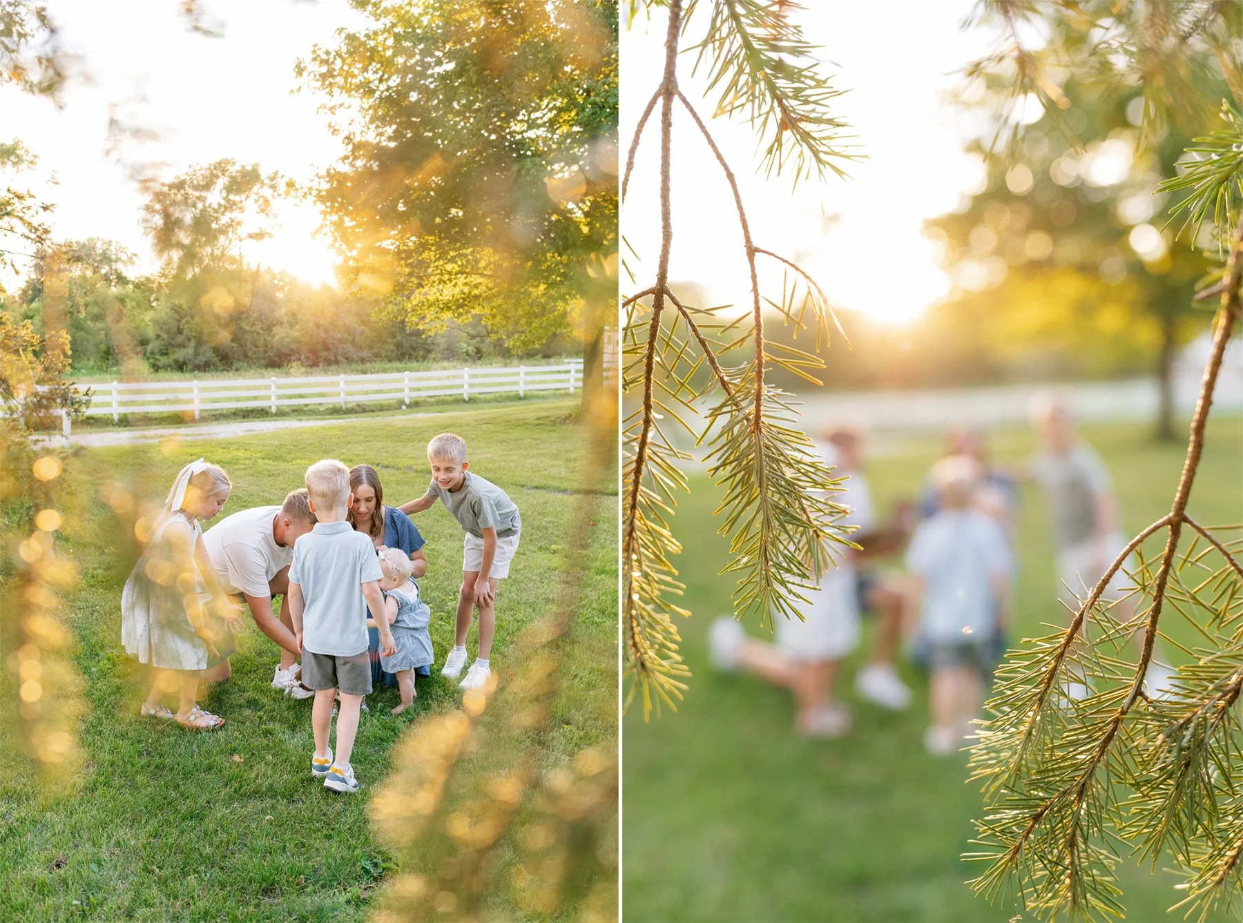 magical golden hour family photos