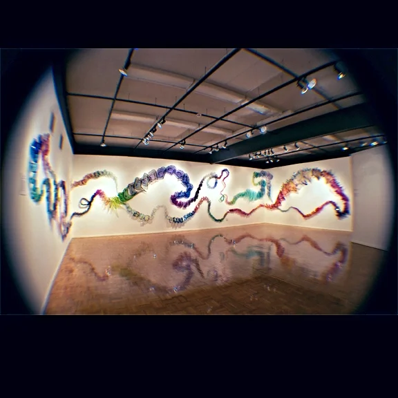 MEMBRAINCHAIN (Fisheye view at Hyde Gallery)
