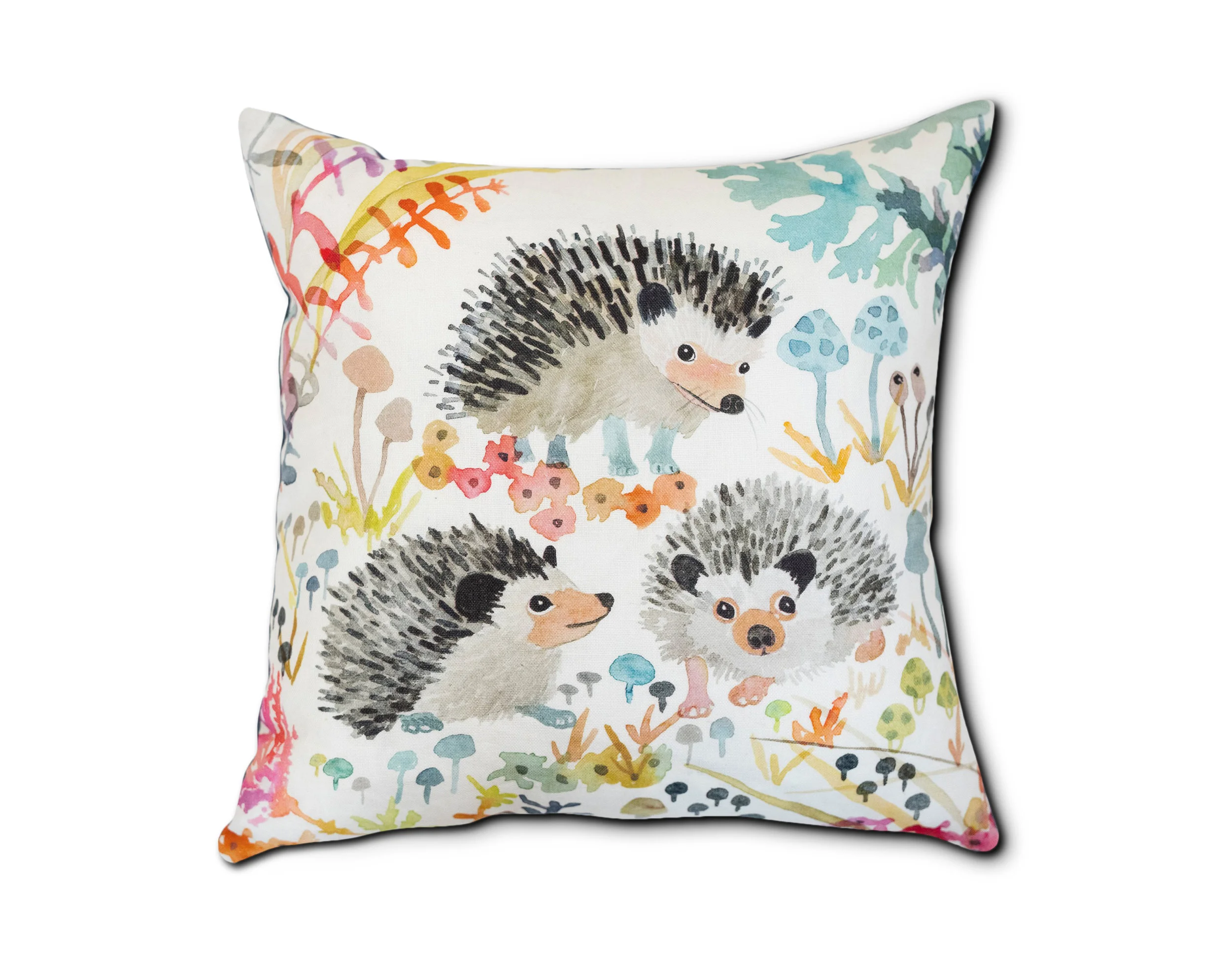 Besty_Olmsed_Hedgehog_White copy.jpg