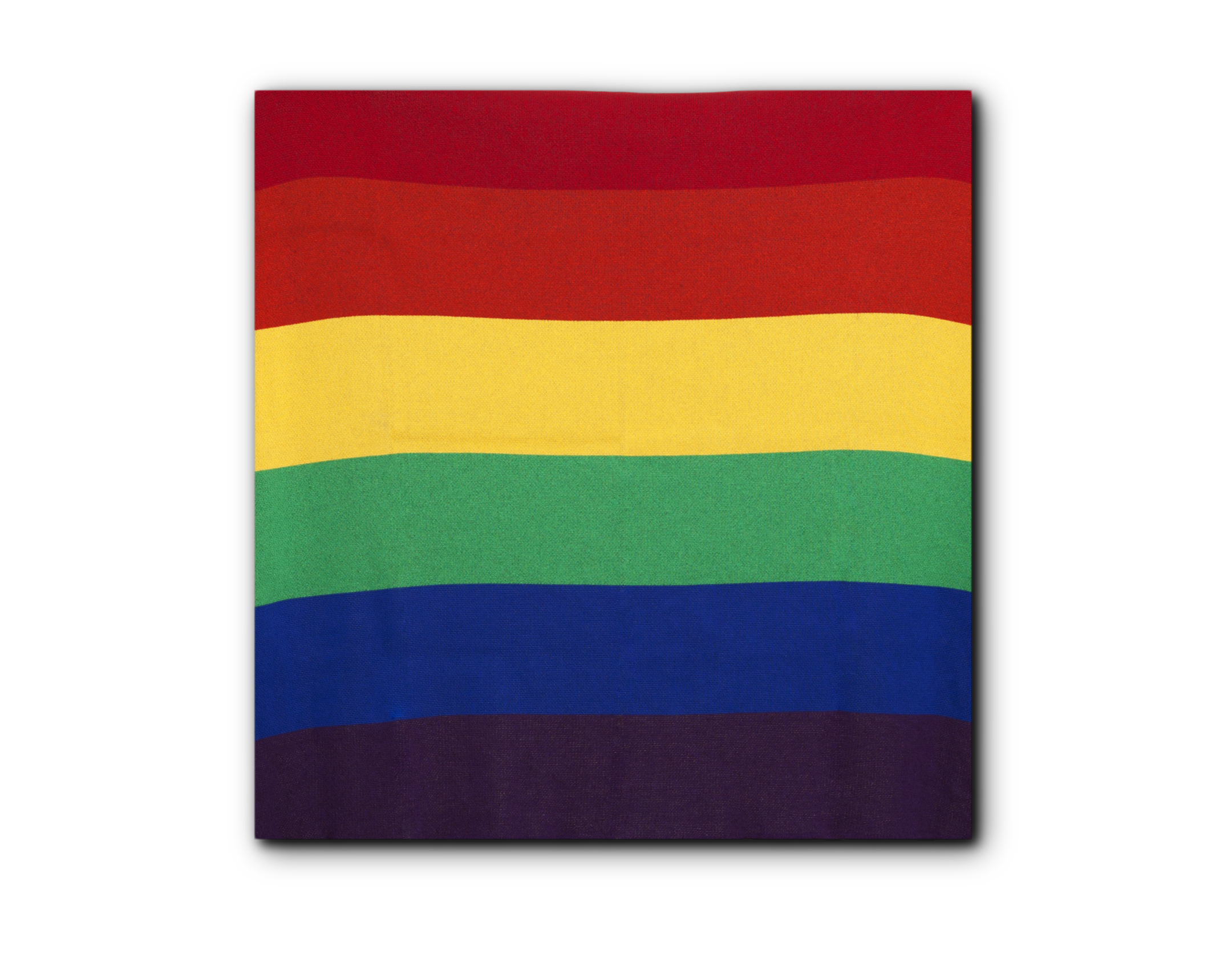 in2green_Eco_Pride copy.jpg