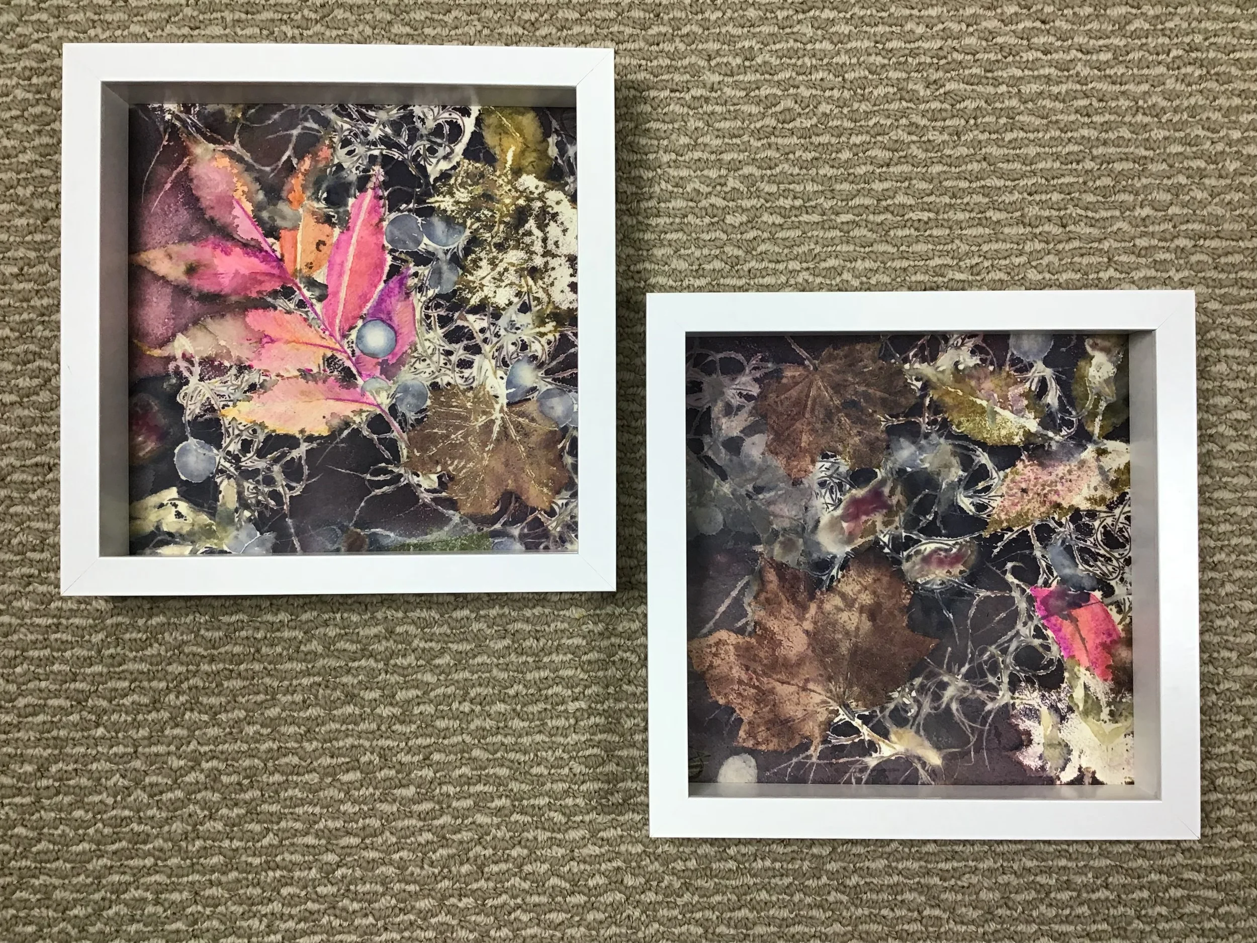 IMG_0354.jpeg