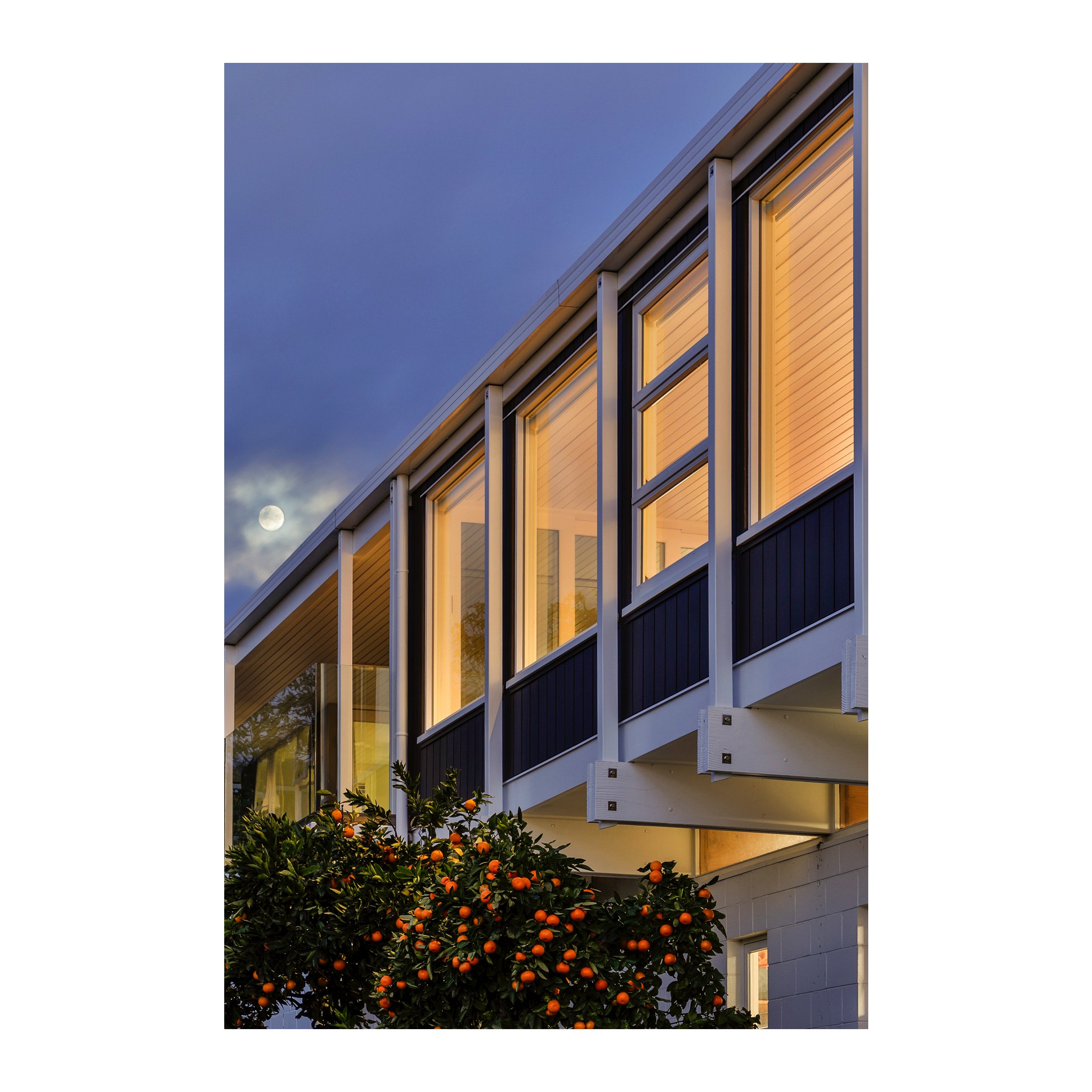 Modern residential building with large illuminated windows, dusk sky with visible moon, and an orange tree in foreground.