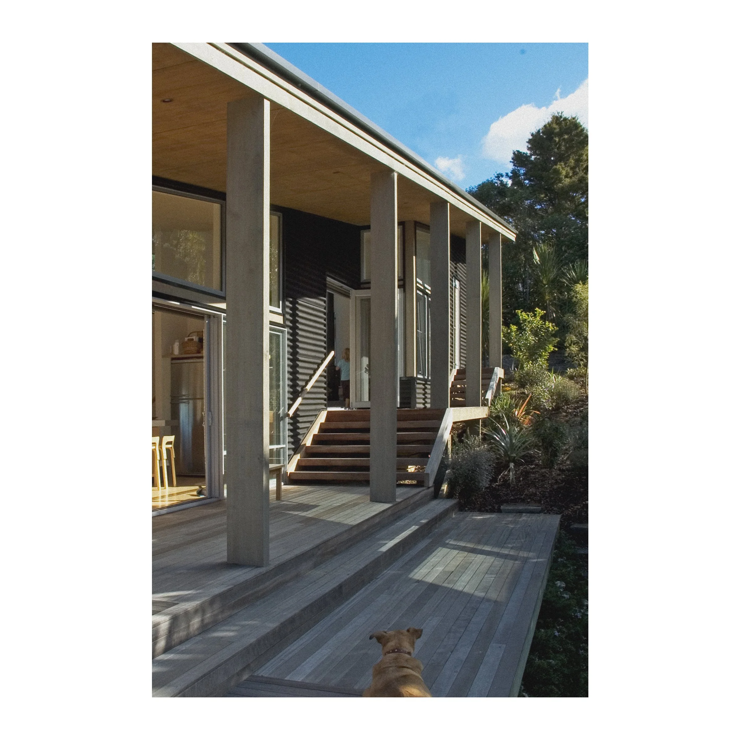 Modern house with large deck, stairs leading up to glass doors, and a dog sitting on the wooden porch. Bach Design New Zealand. Bach Architect. Holiday Home Architect. Rural Architect. 