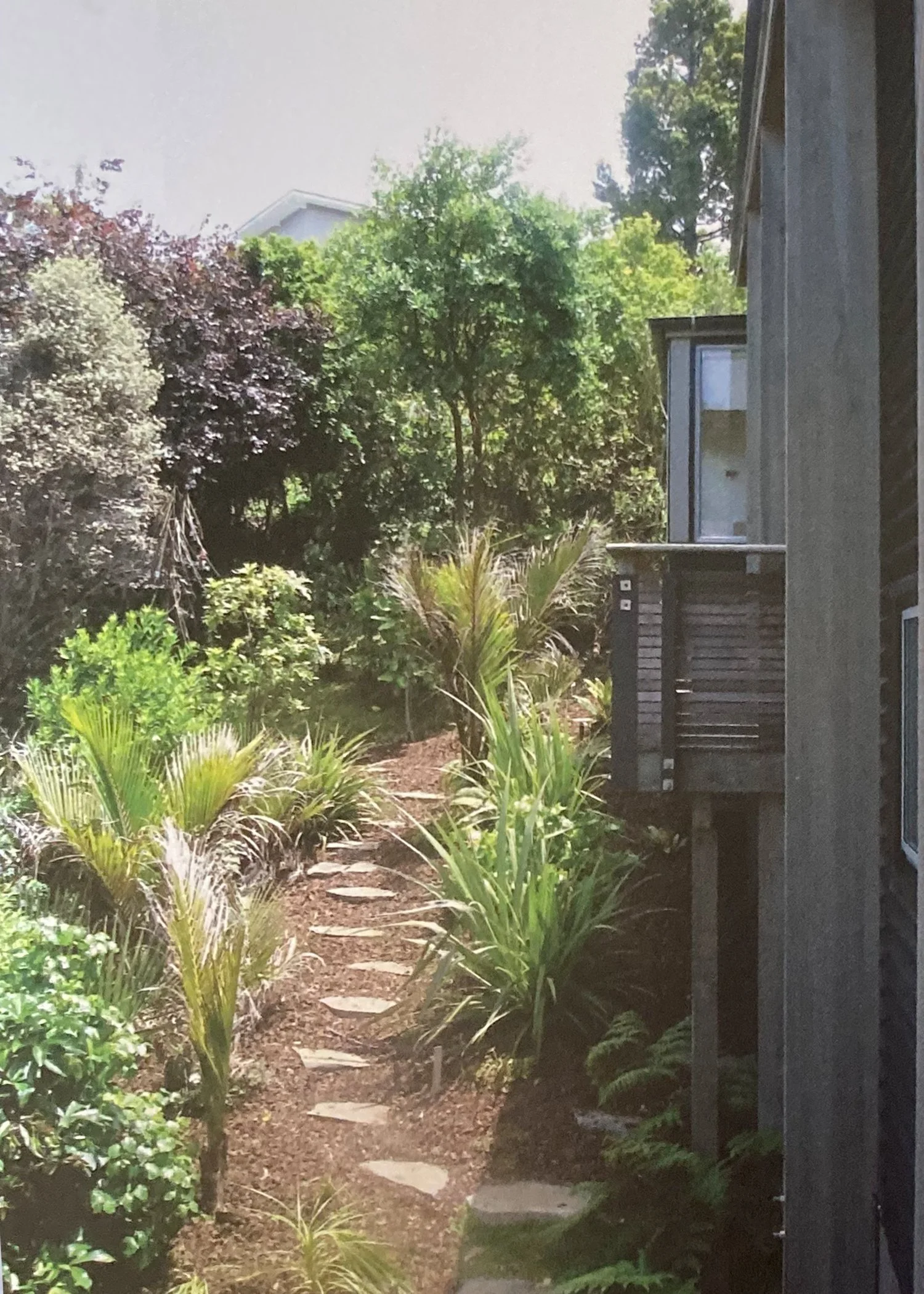 Garden pathway with stepping stones surrounded by green plants and shrubs, with a house and trees in the background. Bach Design New Zealand. Bach Architect. Holiday Home Architect. Rural Architect. 