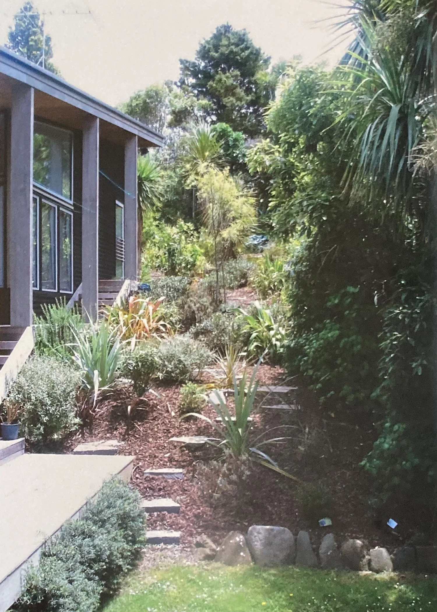 A garden with various plants and bushes along a pathway in front of a house with large windows and wooden stairs. Bach Design New Zealand. Bach Architect. Holiday Home Architect. Rural Architect. 