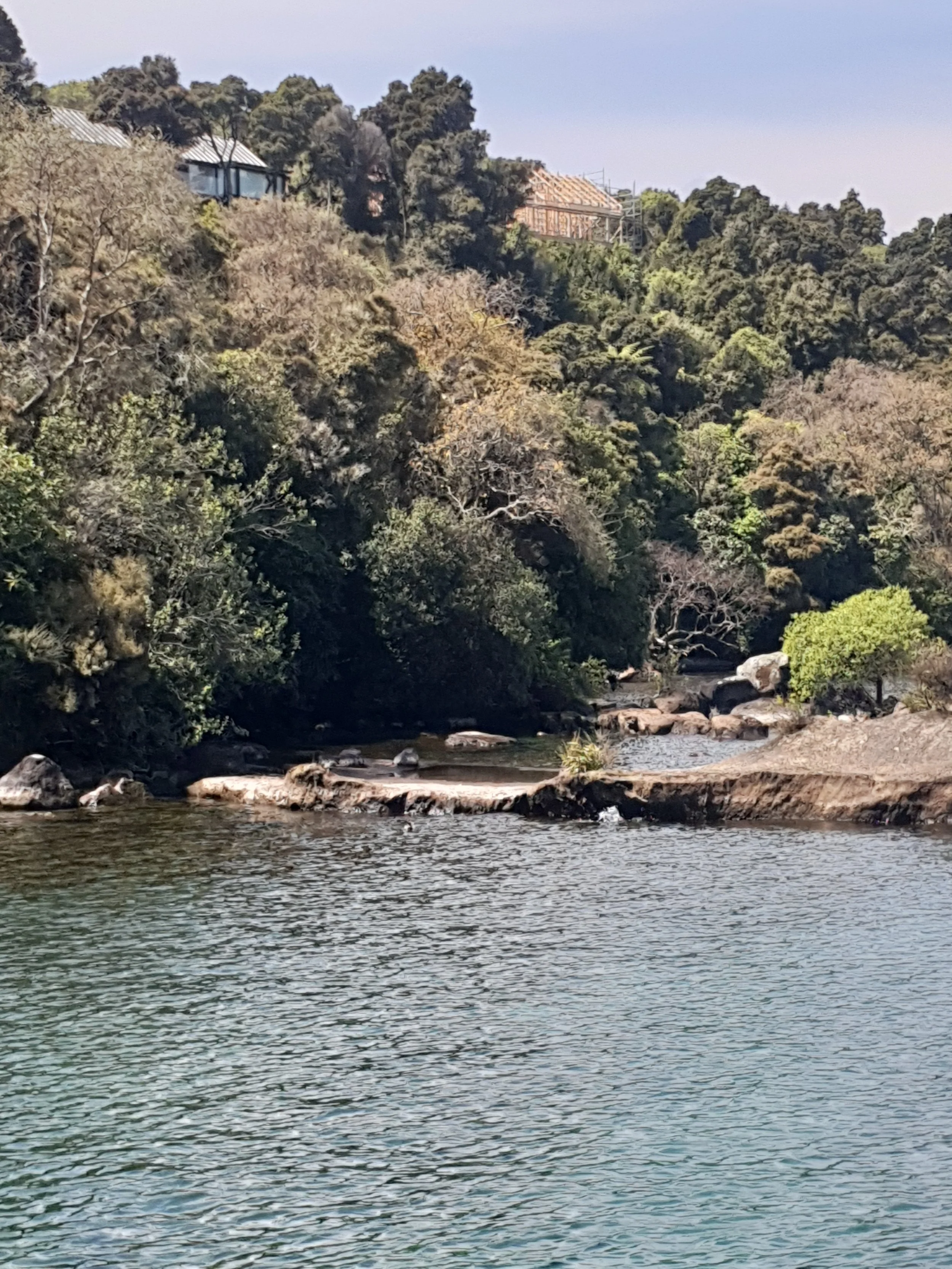 A scenic view of a river flowing through a wooded area with trees and shrubs on the banks, some buildings visible on a hill in the background.
