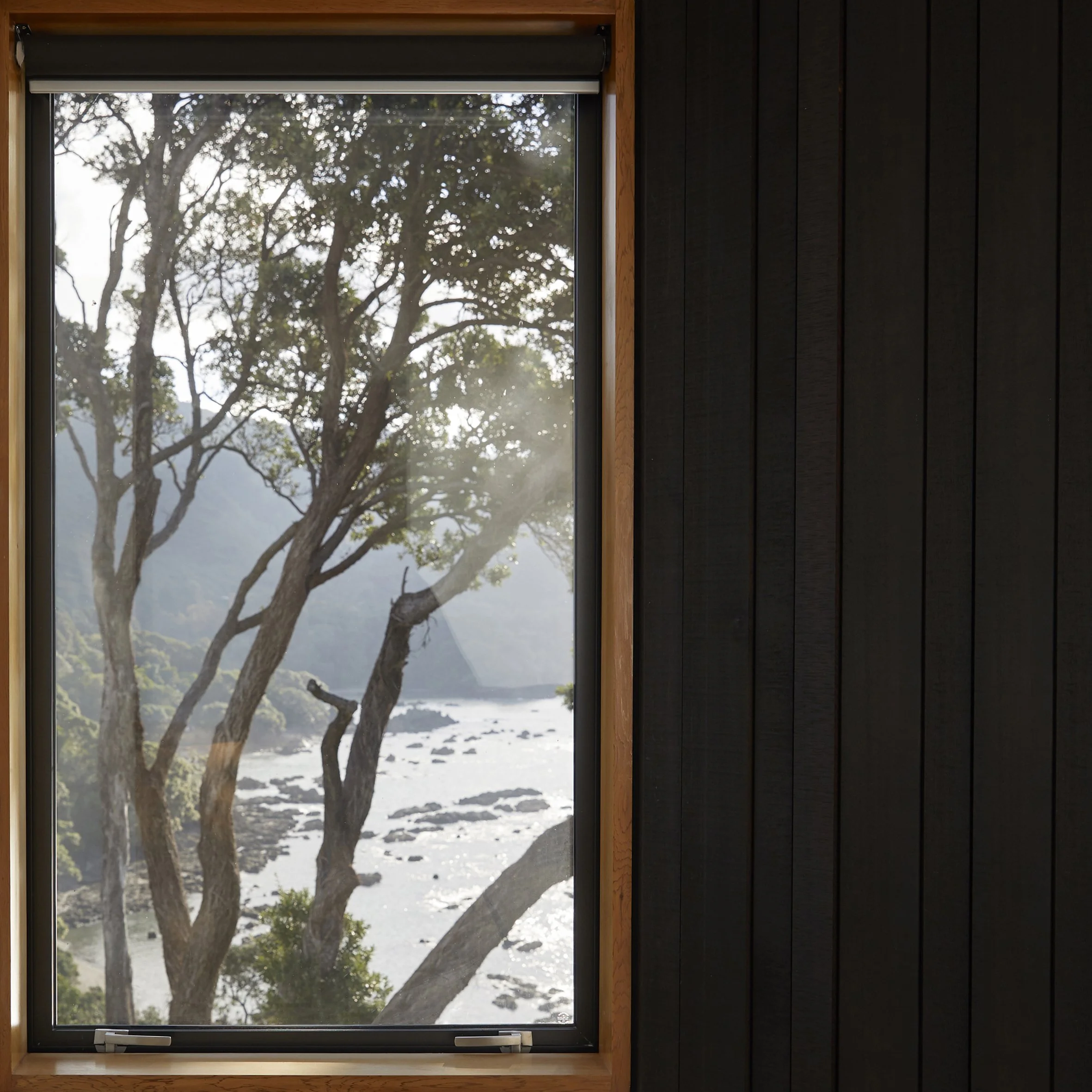 View through a large window showing trees, rocky shoreline, and water with sunlight filtering through the trees.