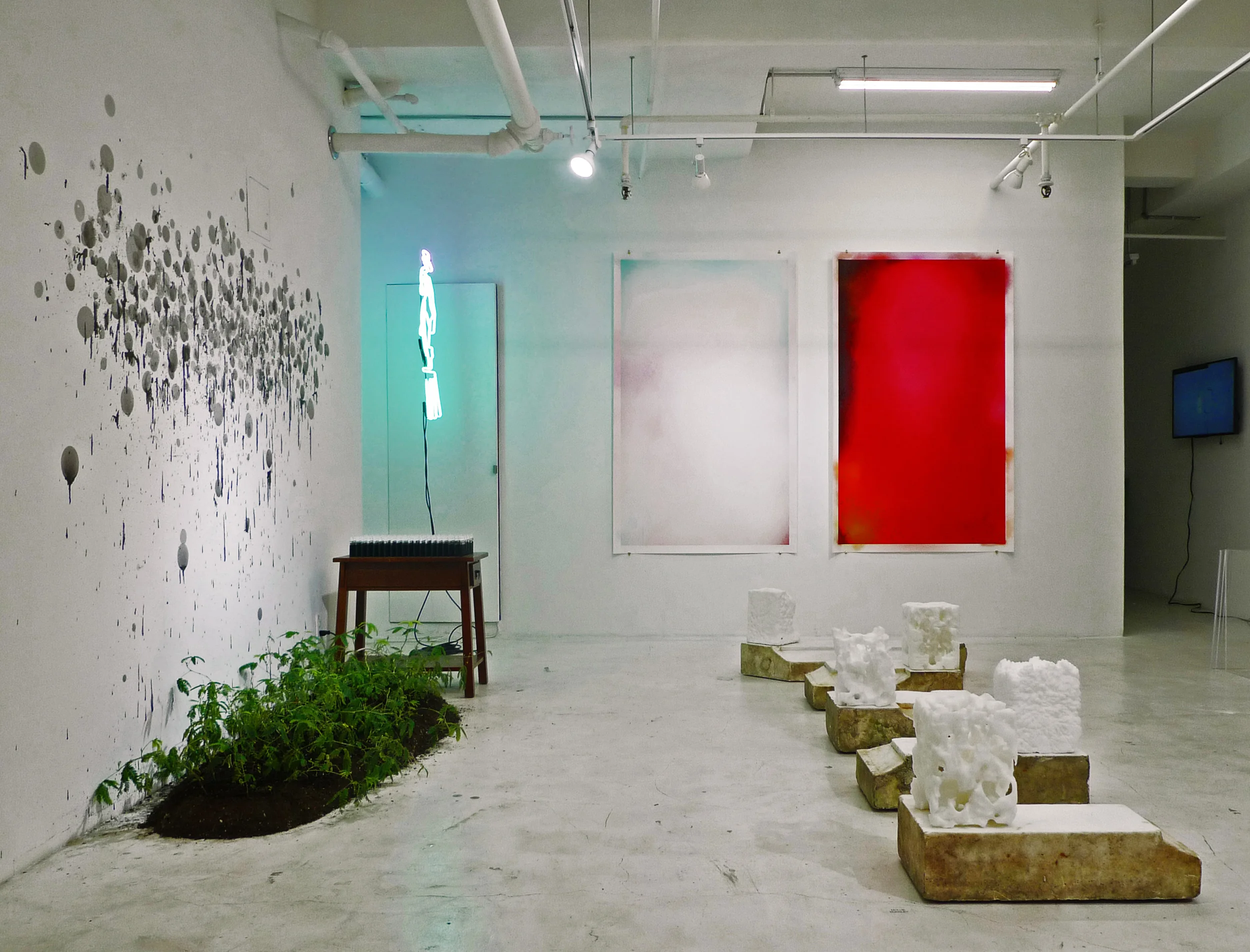 In the Cloud at Ethan Cohen Fine Arts