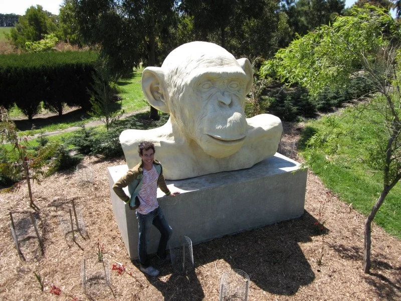 12106_Chimp1.jpeg