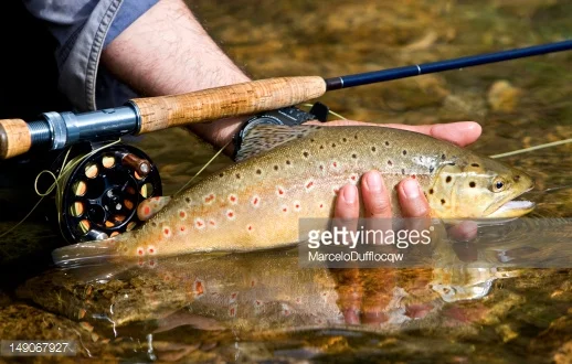 Orvis Guide Rendezvous and Down the Hatch event in Missoula