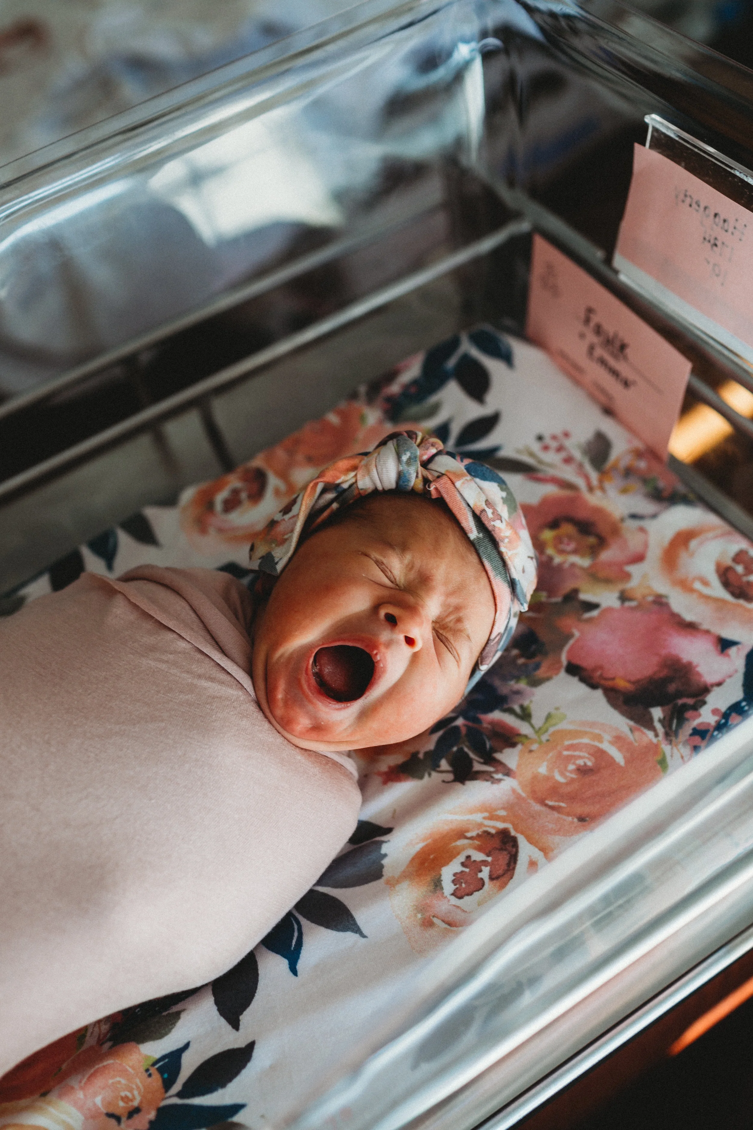 01302019_BabyEmma (52).jpg