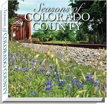 dust jacket #1_bluebonnets_WEB.jpg