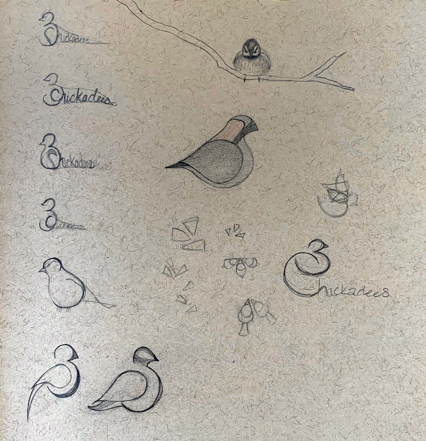 3 Chickadees Logo Sketches.jpg