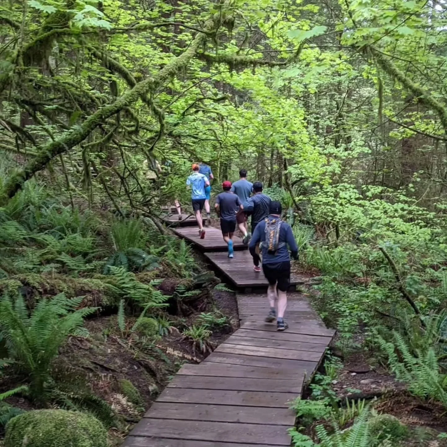 Sunday: Happy Trails / Long Run options

HAPPY TRAILS SUNDAY, MARCH 01 @ 8:30 AM
Hello everyone! Happy Trails will be running this week starting from End of the Line at 8:30am.

The route is 14km with 500m elevation as we head over to Seymour for a q