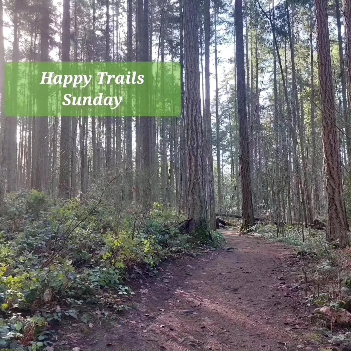 Happy Trails June 7 - w/ Julia R &amp; Tiffany 

Hello everyone! Happy Trails will be continuing this Sunday from Parkgate Park at 08:30am.

The route is 13km with 700m elevation through some Seymour classics with nice flowy up and down trails.

All 