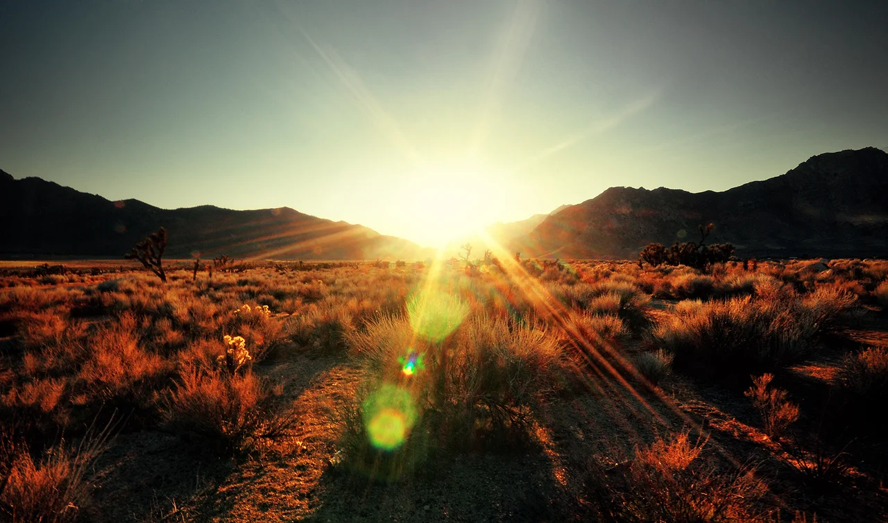Cali Desert1.jpg