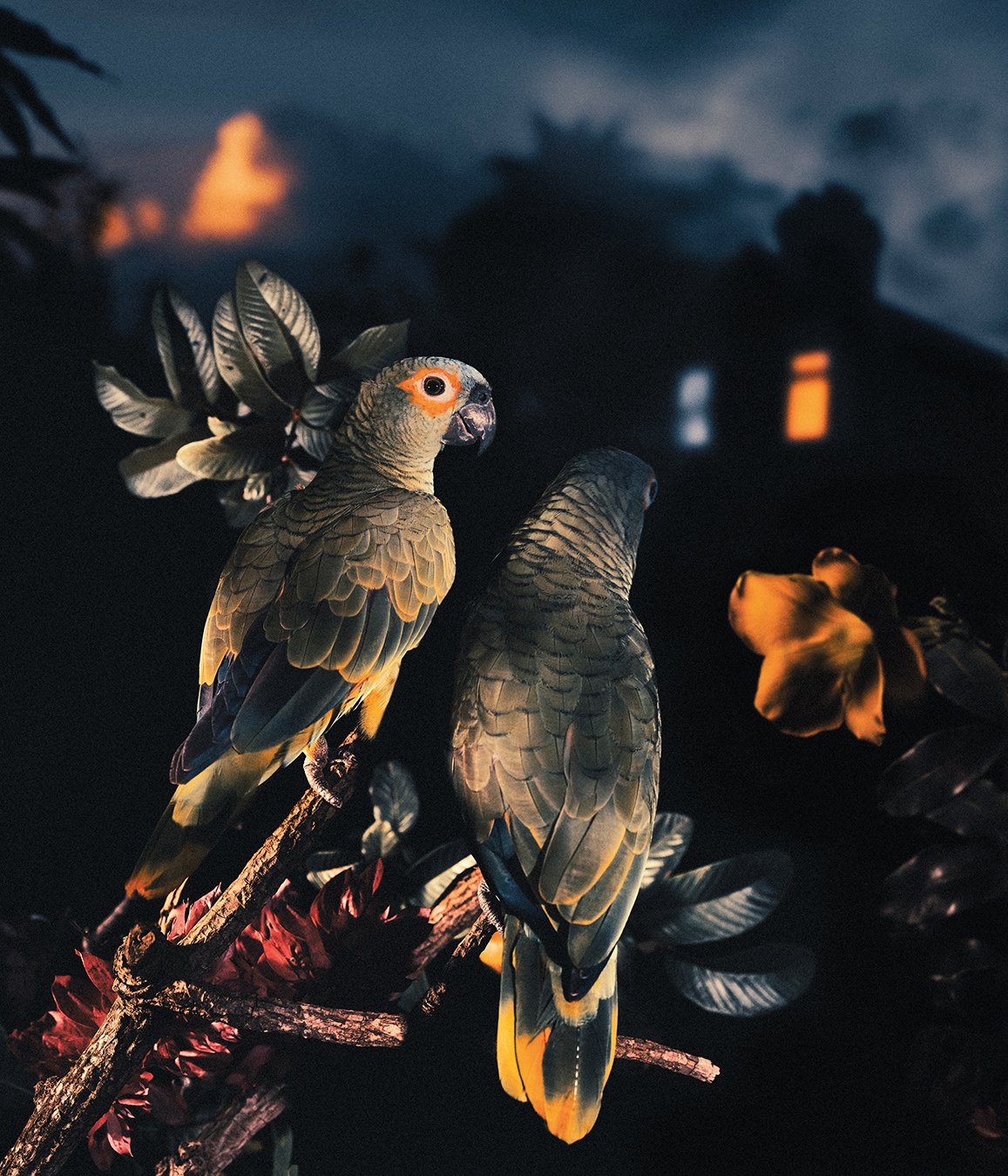 15_Reverie Park_1350pixelH.jpg