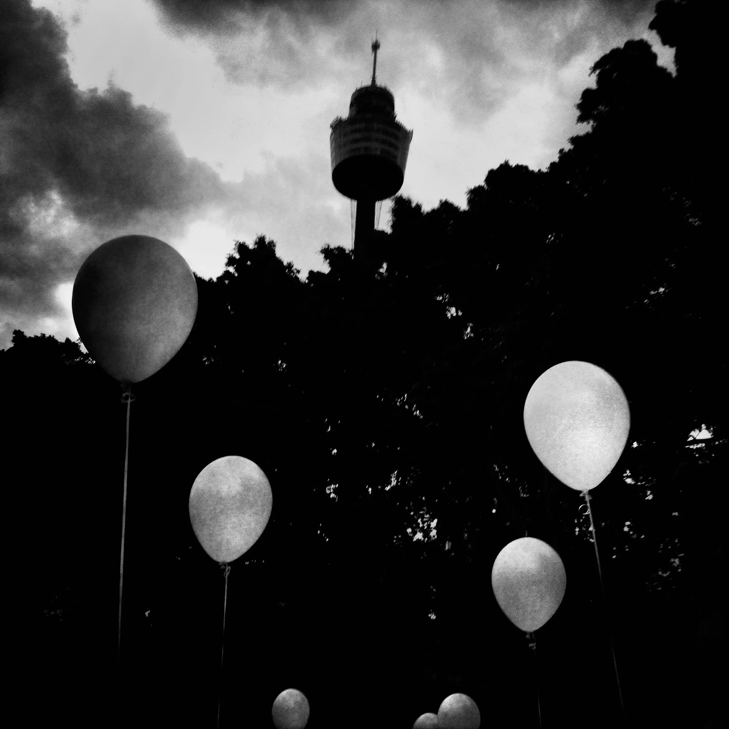 00342_0142.jpg
