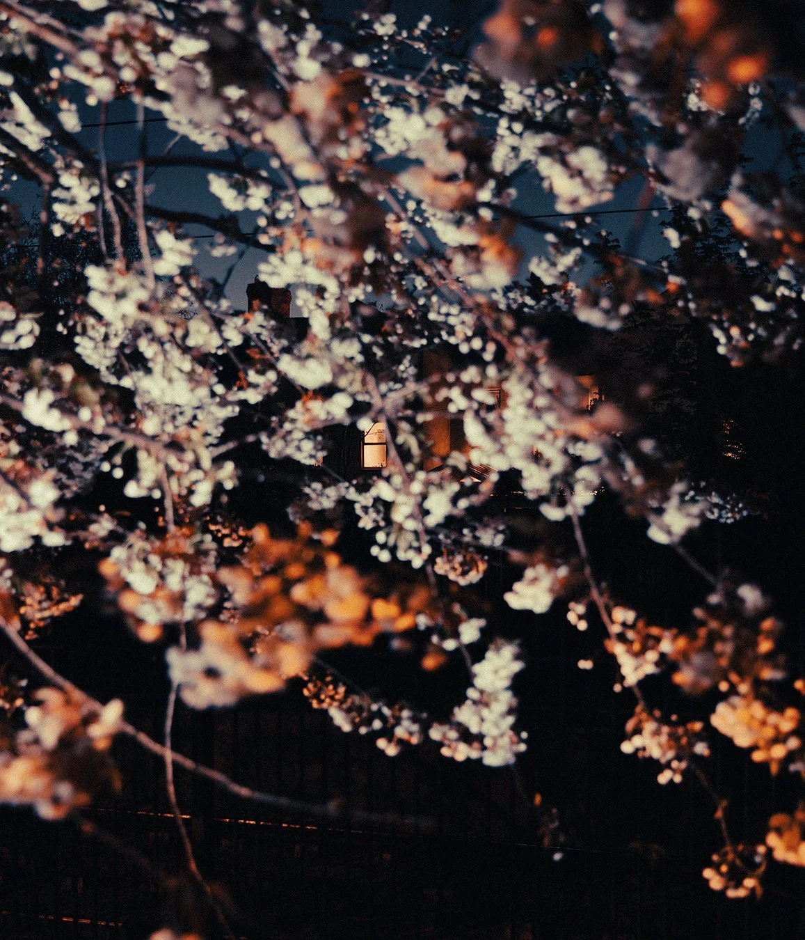 67_Reverie Park_1350pixelH.jpg