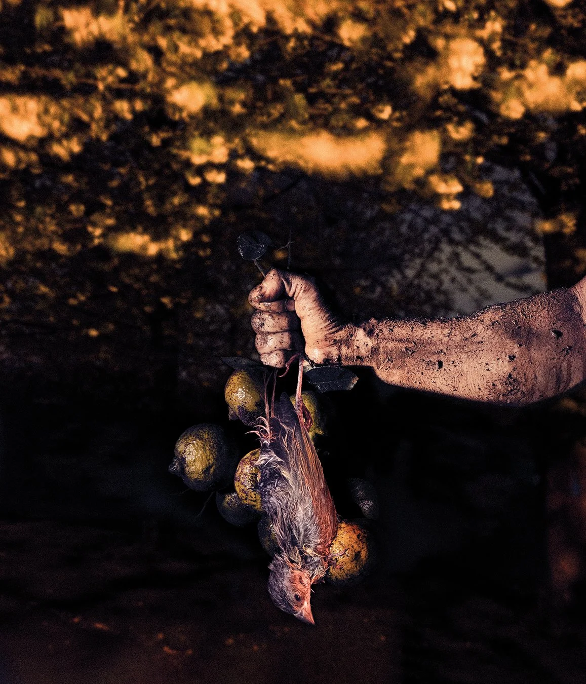 29_Reverie Park_1350pixelH.jpg