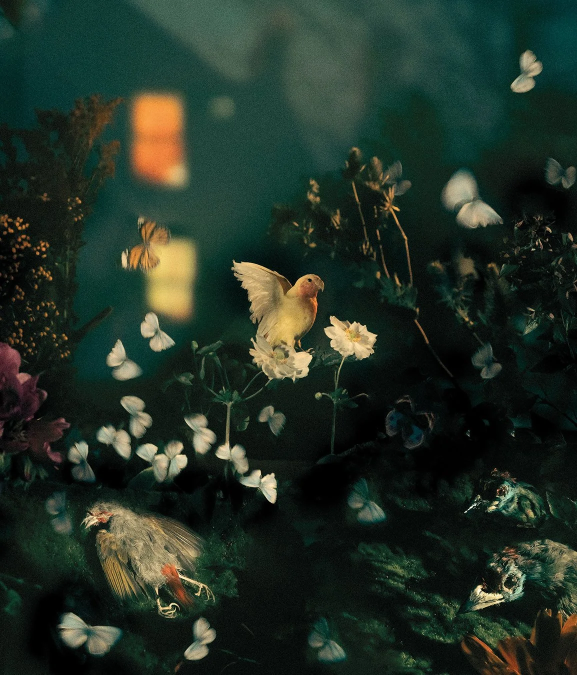 21_Reverie Park_1350pixelH.jpg