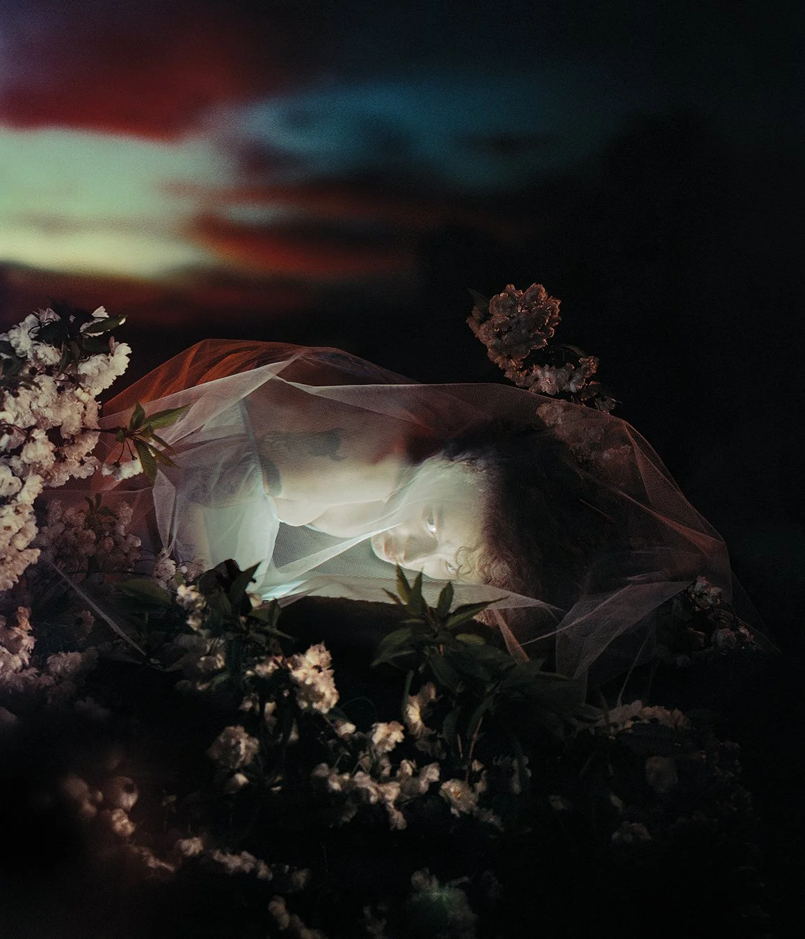 08_Reverie Park_1350pixelH.jpg