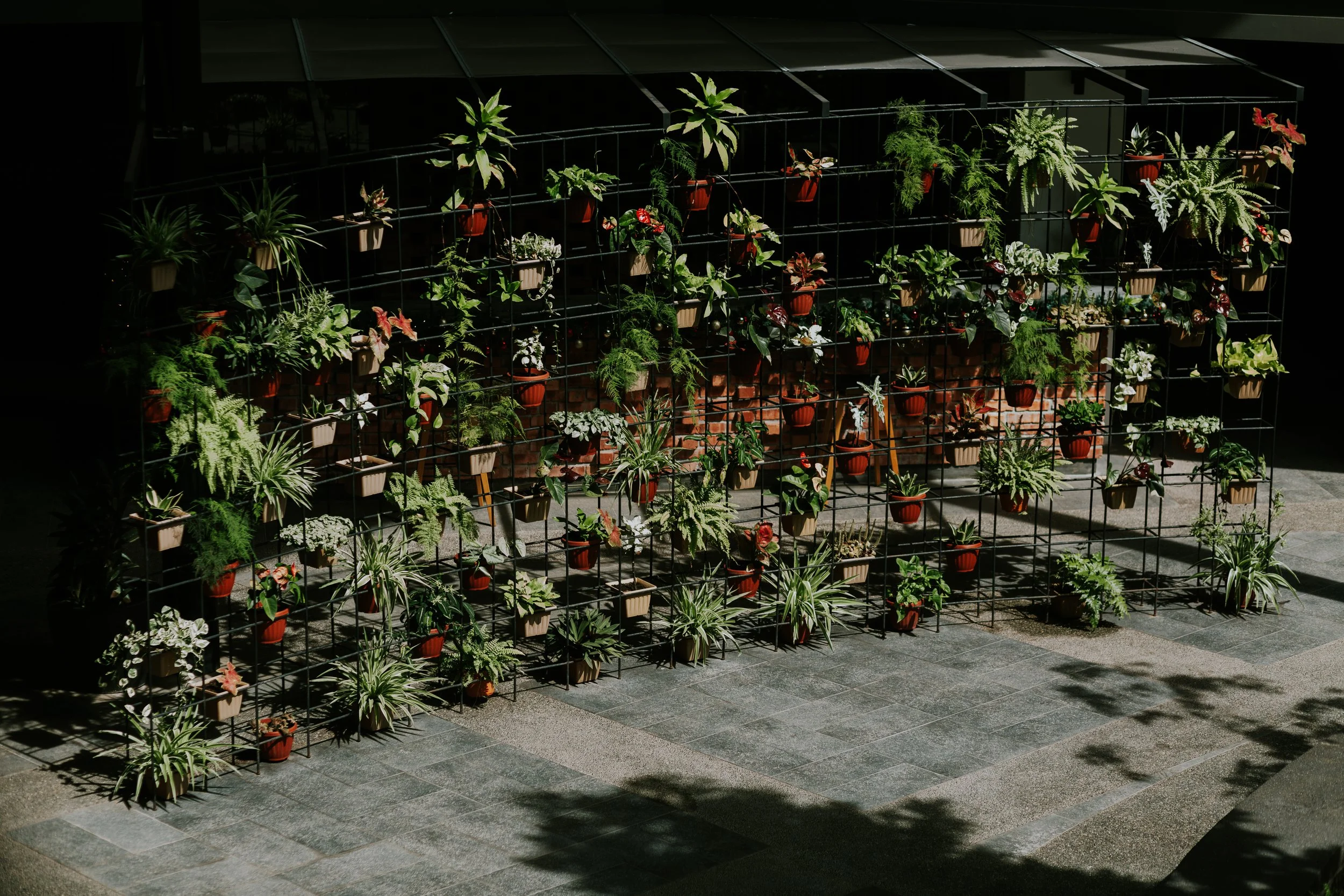 TACKOR MILLENIA VILLAGE 1.jpg