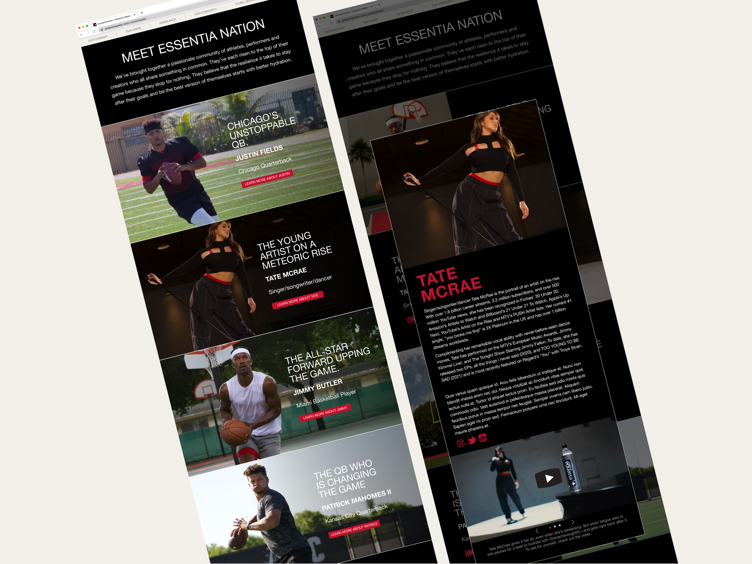 Essentia Website 031314.png