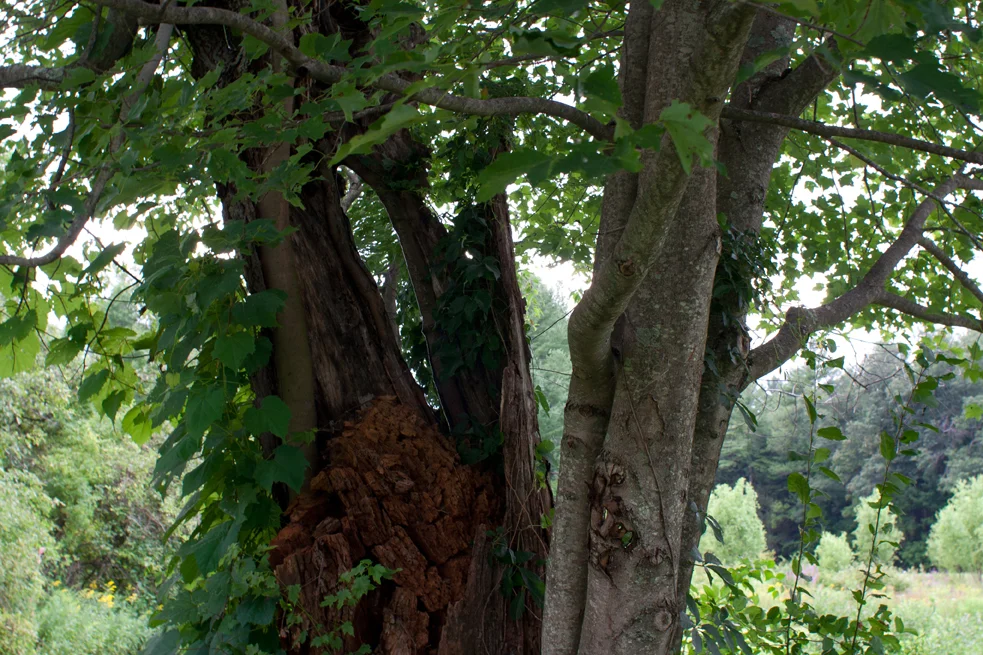 invisible_piece_aio_documentation_ 190_for_web.jpg