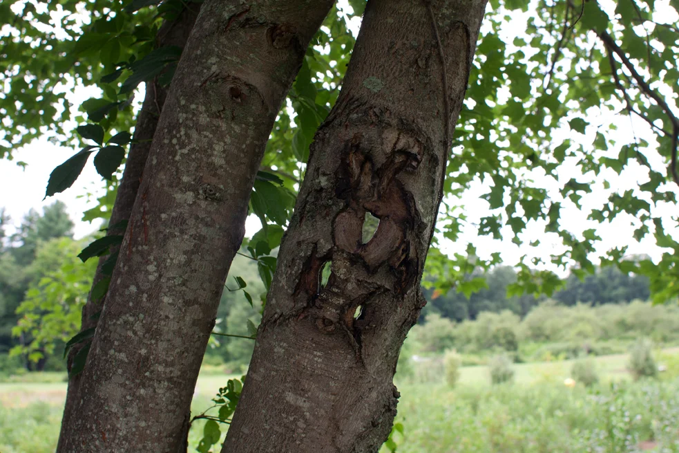 invisible_piece_aio_documentation_ 46_for_web.jpg