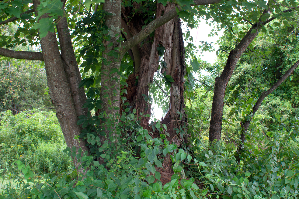 invisible_piece_aio_documentation_ 4_for_web.jpg