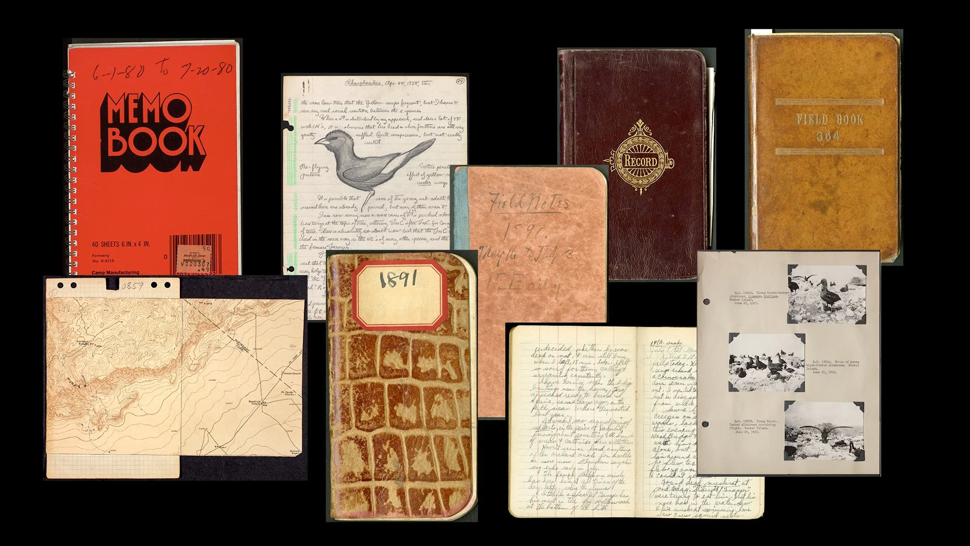 field_book_compilation.jpg