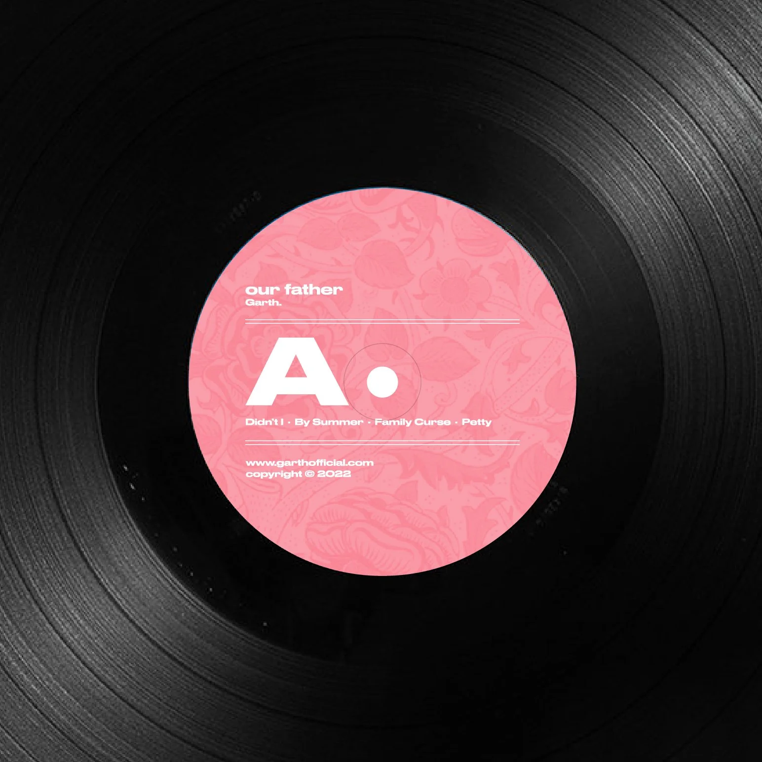 Garth - Vinyl Detail.jpg