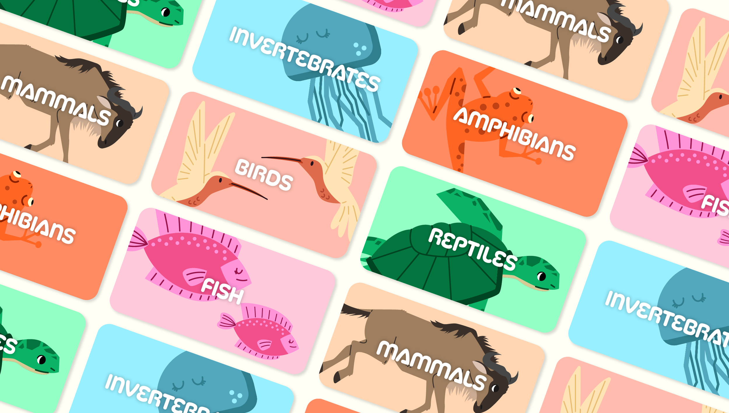WWW - Animal Cards.png