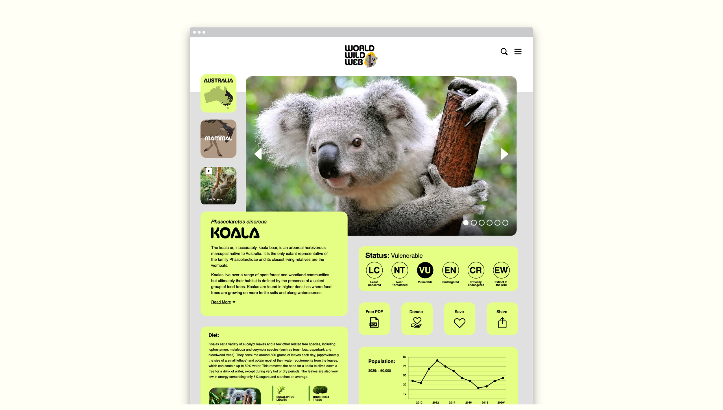 WWW - Website Page.png