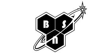 bsn logo.jpg