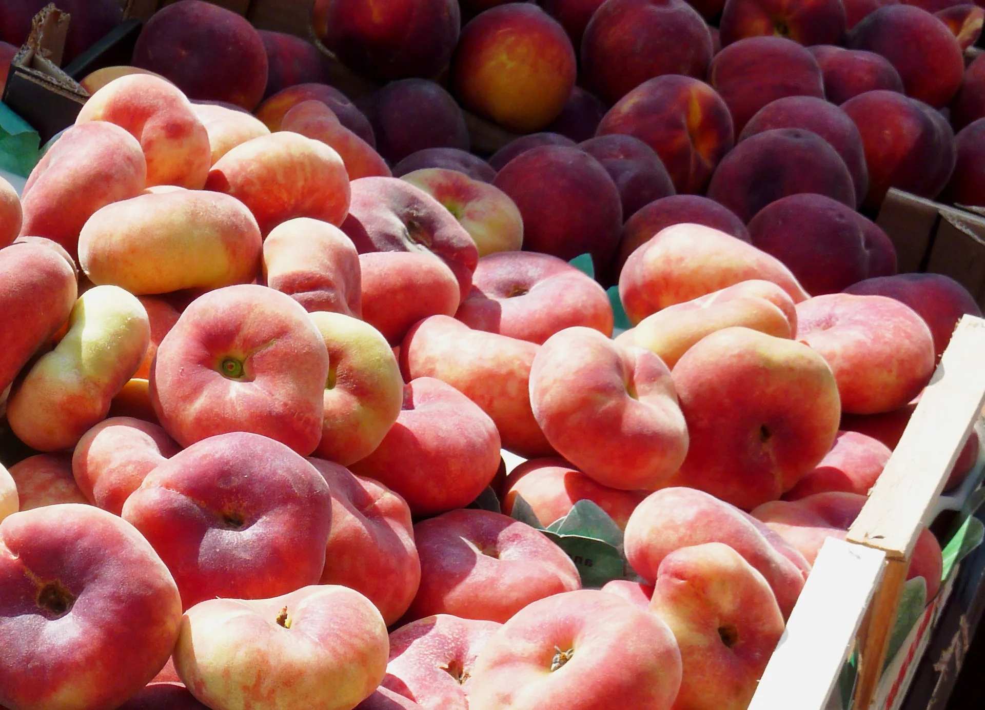 peach-2071176_1920.jpg