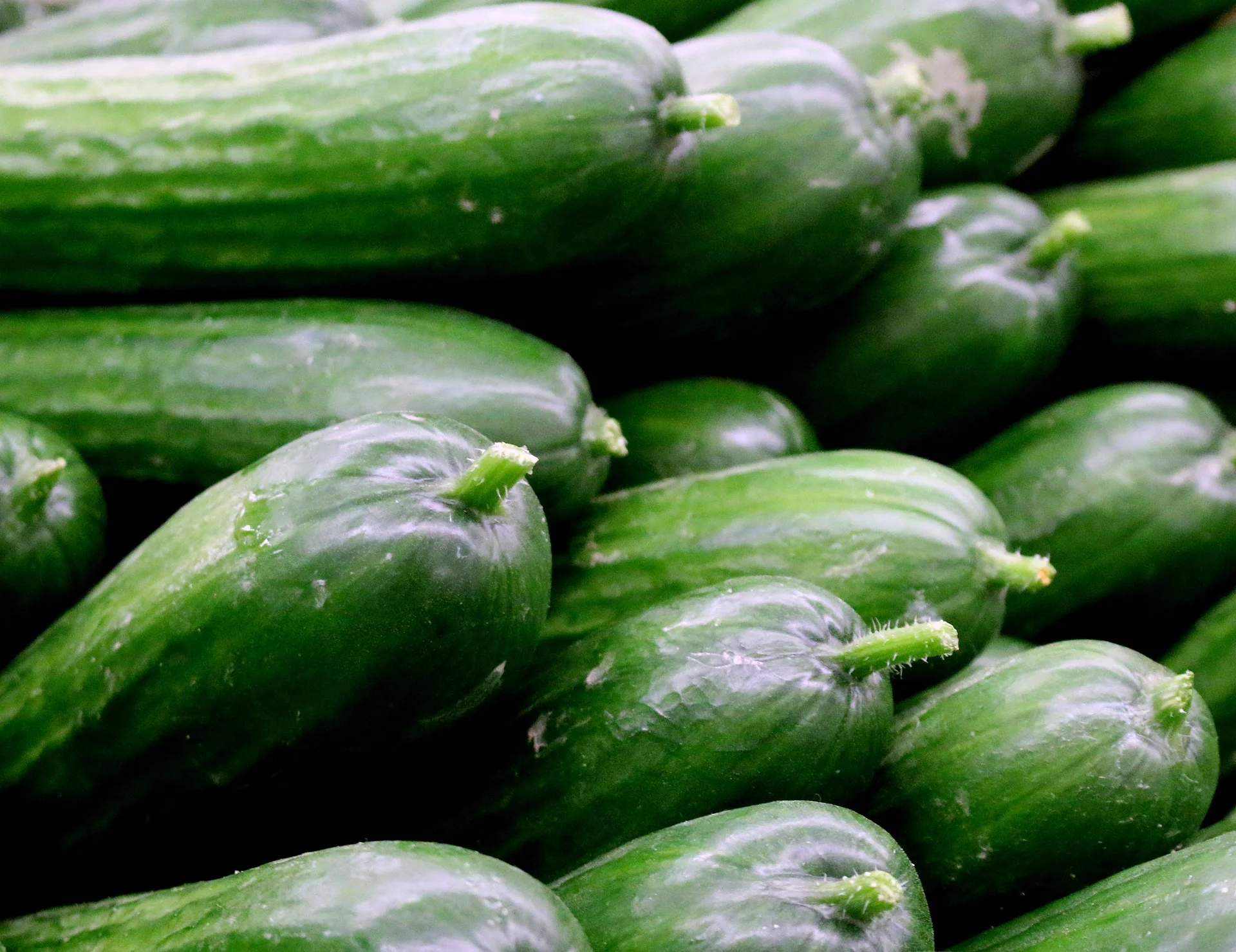 vegetable-3129062_1920 Renee_Olmsted_Photography pixabay.jpg
