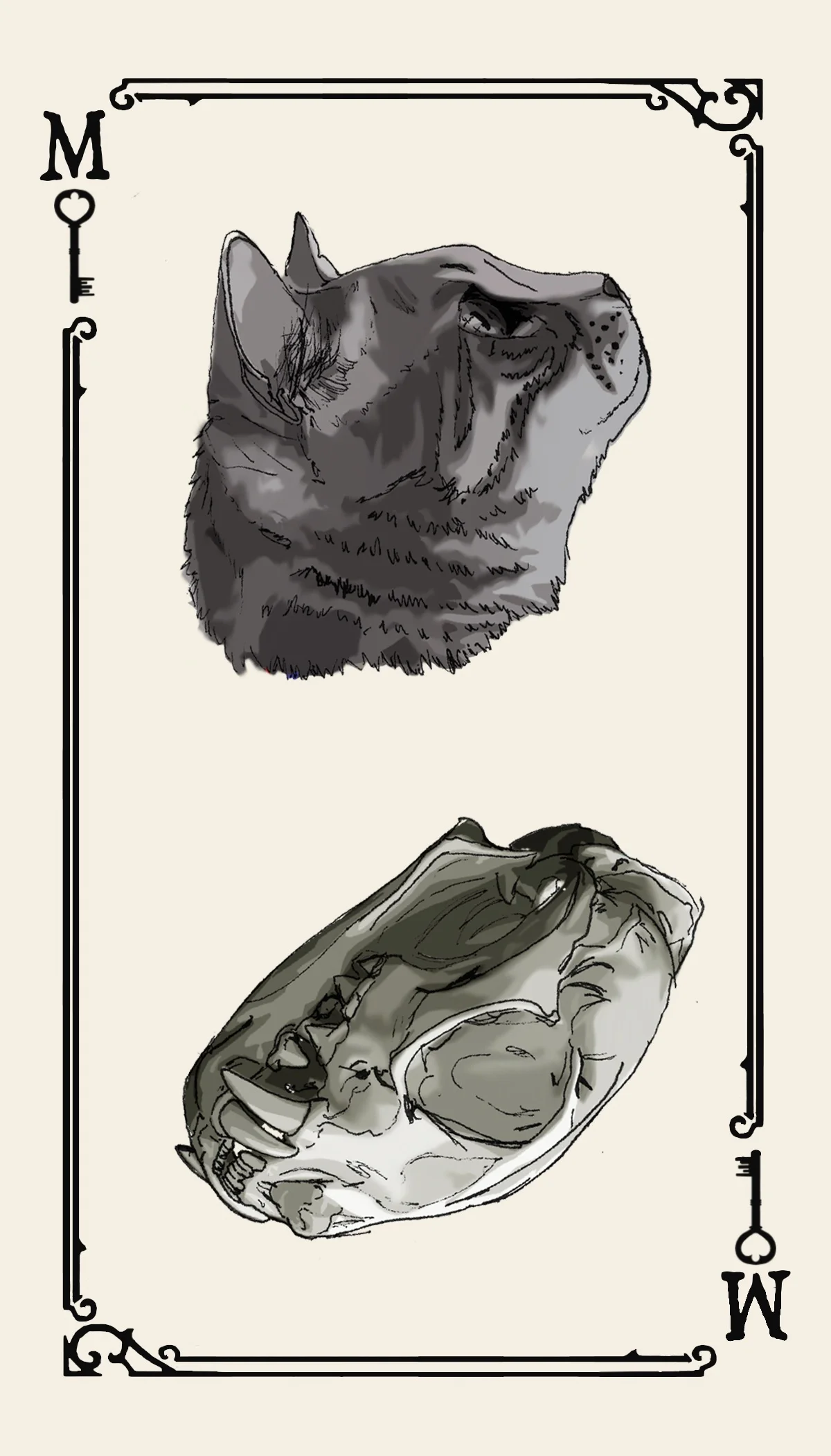 Business playing cards series