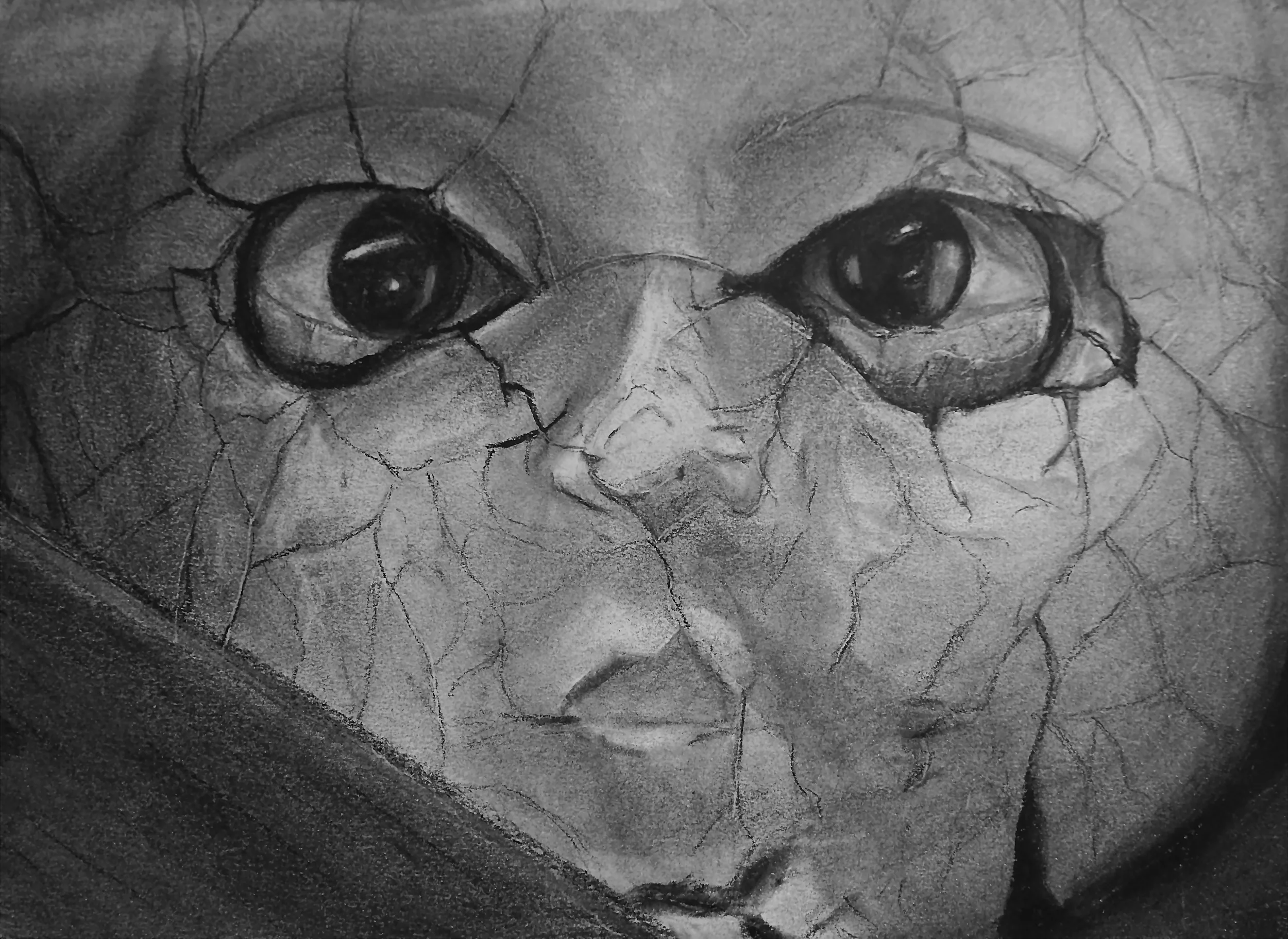 Charcoal and pencil