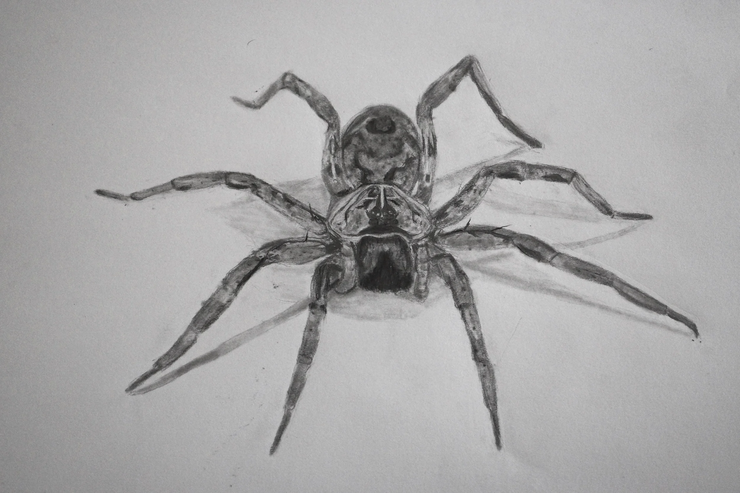 Pencil