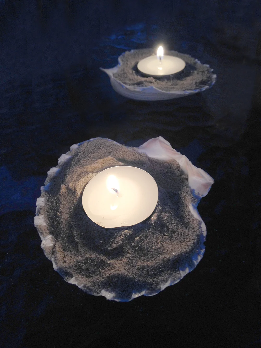 Seashell_Candles.JPG