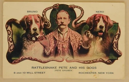 Rattlesnake Pete