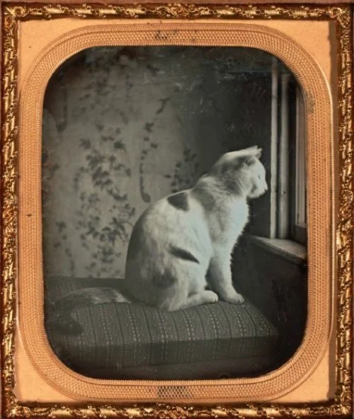 from Historical Indulgences Tumblr