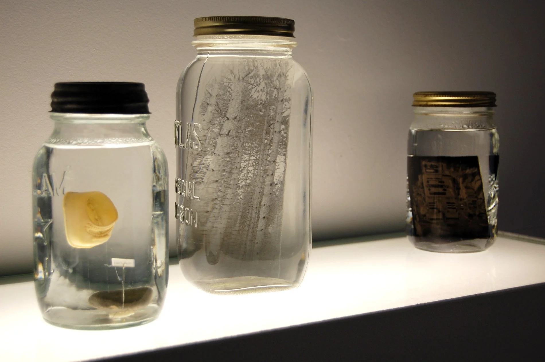 Reconfigured, 2011 - Installation at Colleen Buzzard Studio, Rochester, NY