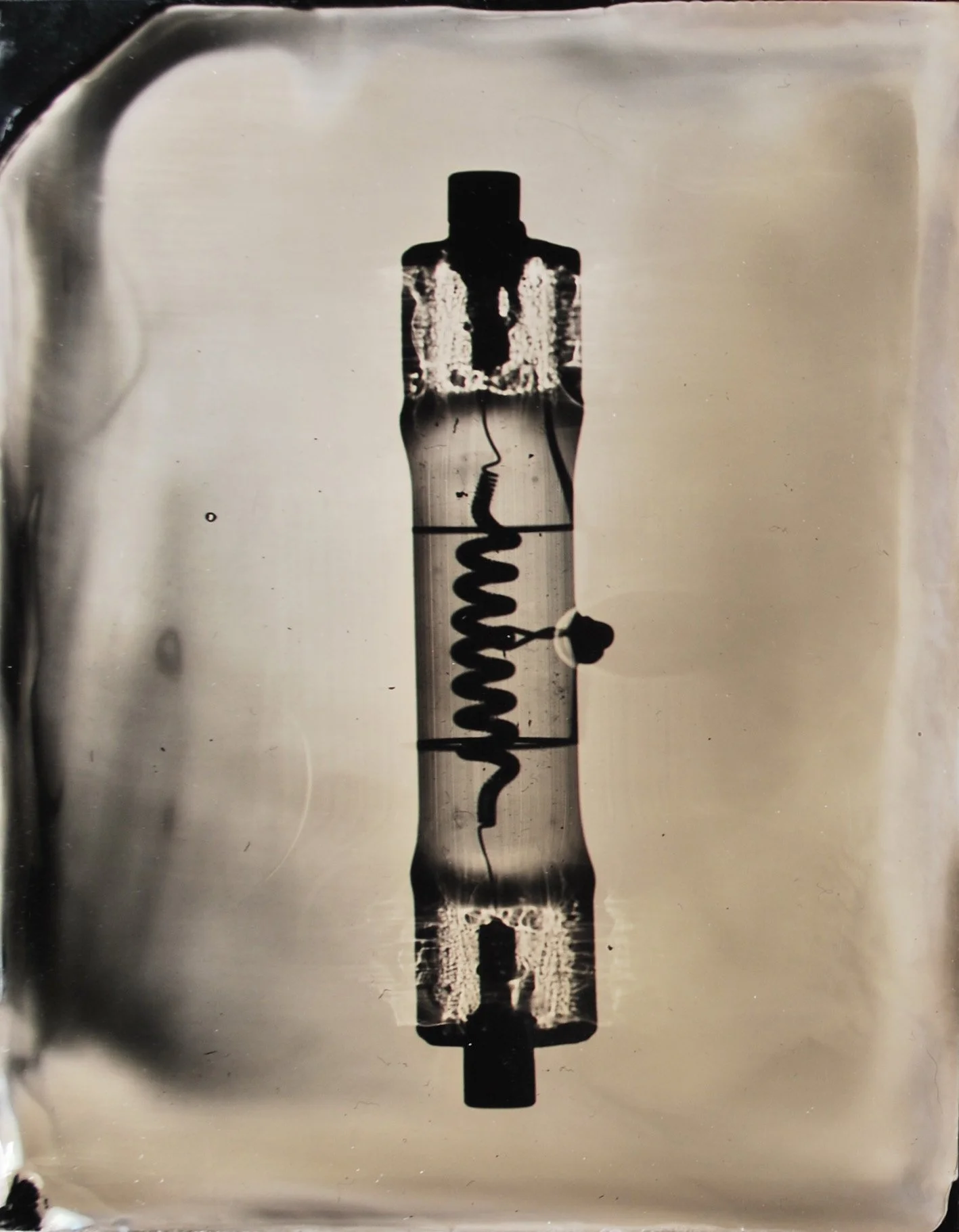 Halogen Light Bulb, 2011