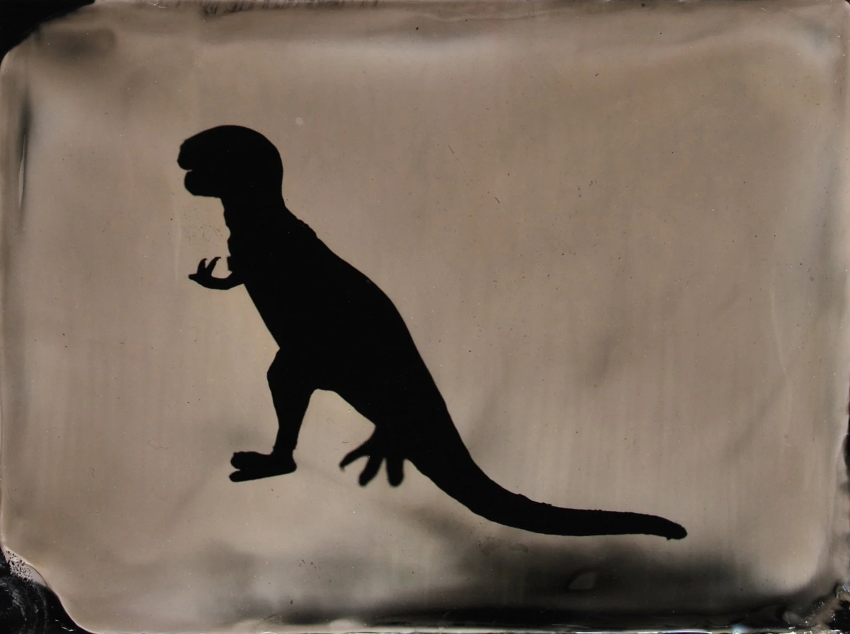 T-Rex, 2011