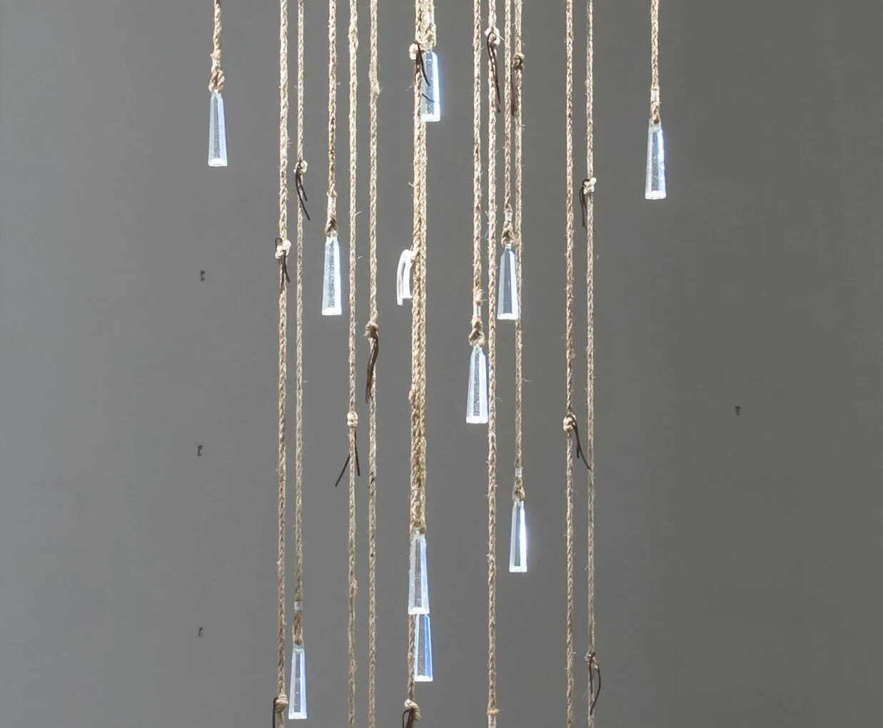 Banner for web page.jpg