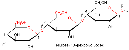 Cellulose is made out of beta glucose, and it generally appears in a diagonal line.