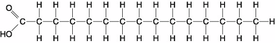 In a saturated fatty acid, each carbon has a single bond to hydrogen, meaning there are as many hydrogen atoms as possible in this molecule.